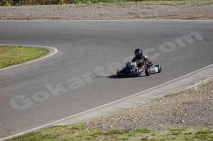 Photo # 0468