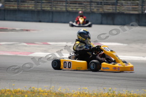 Photo # 0228