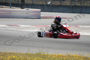 Photo # 0231