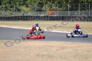 Photo # 0472