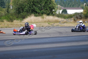 Photo # 0306
