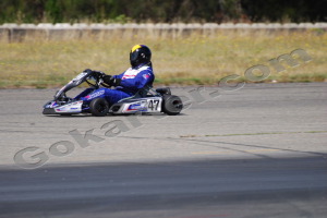 Photo # 0308