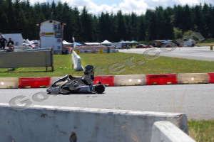 Photo # 0478