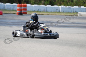 Photo # 0520