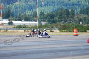 Photo # 0780