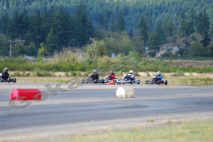 Photo # 0802