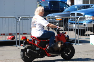 Photo # 0087