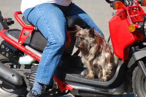 Photo # 0088