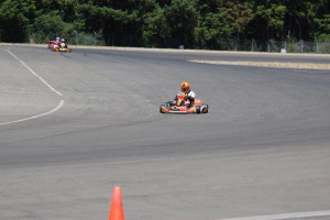 Photo # 2009
