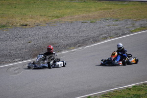 Photo # 0337