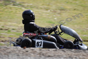 Photo # 0342