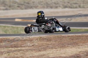 Photo # 2003