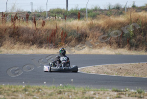 Photo # 0202