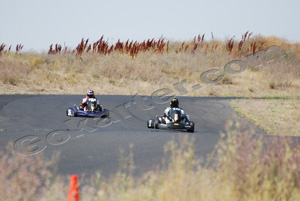 Photo # 0392
