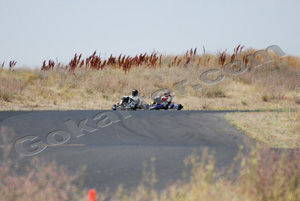 Photo # 0407