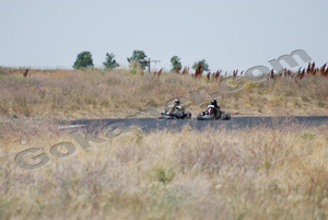 Photo # 0429