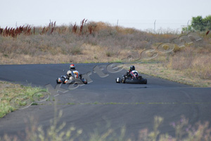 Photo # 0445