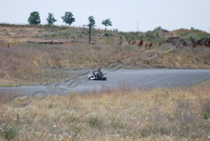 Photo # 0939