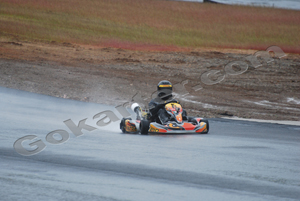 Photo # 0419