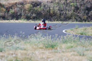 Photo # 0730