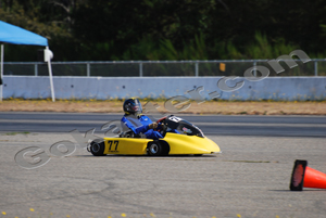 Photo # 0496
