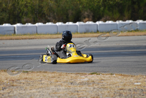 Photo # 0699